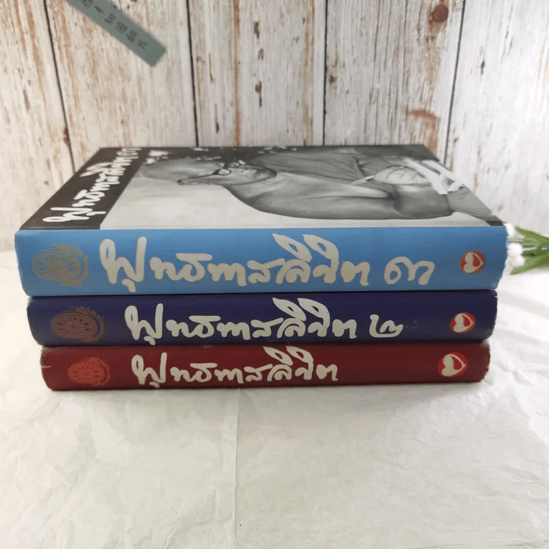 พุทธทาสลิขิต ฉบับลายมือของพุทธทาสภิกขุ เล่ม 1-3 รูปที่ 2