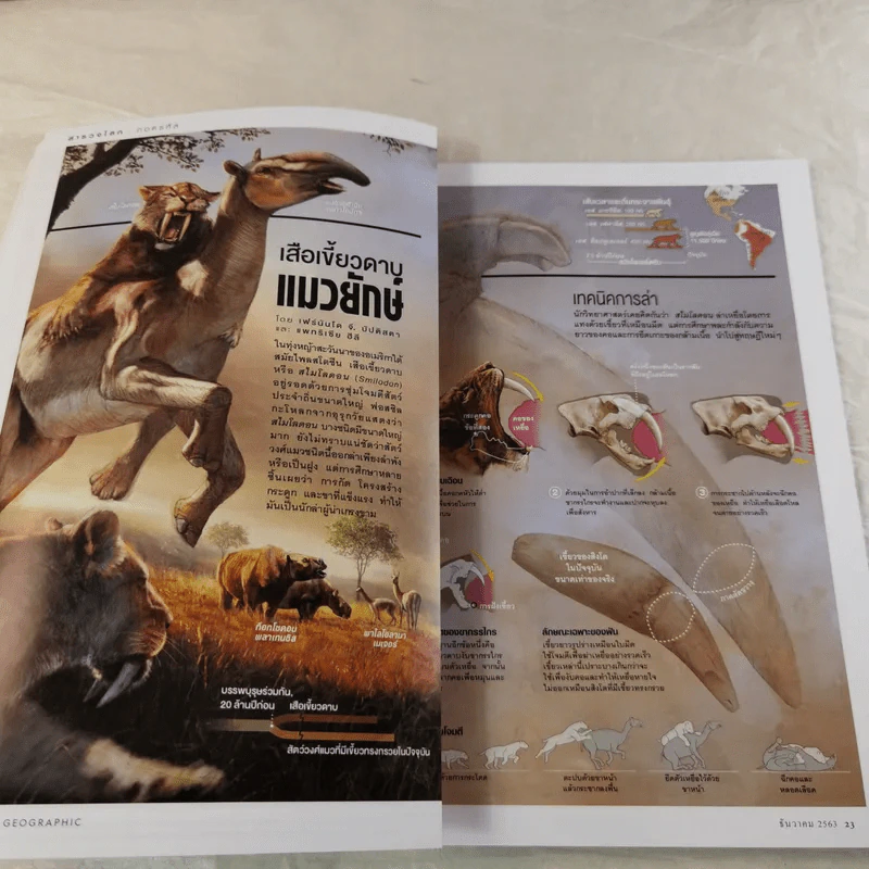 National Geographic ฉบับที่ 233 ธ.ค.2563 ท่องโลกอัญมณีใต้พิภพ รูปที่ 10