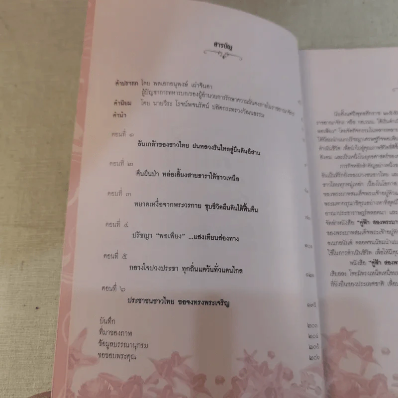 คู่ฟ้าสองพระบารมี รูปที่ 9