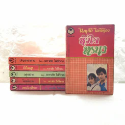 รวมนิยายของนภาลัย ไผ่สีทอง 6 เล่ม รูปที่ 1