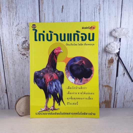 ไก่บ้านแก้จน - โฆษิต เที่ยงทองกุล รูปที่ 1