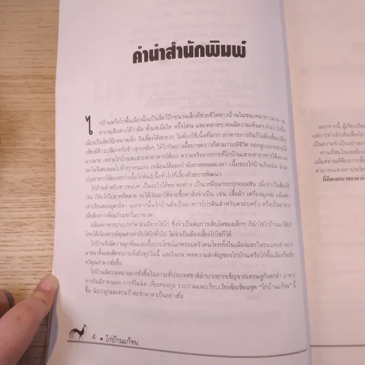 ไก่บ้านแก้จน - โฆษิต เที่ยงทองกุล รูปที่ 9