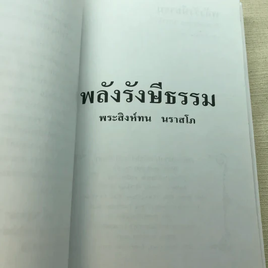 พลังรังษีธรรม - พระสิงห์ทน นราสโก รูปที่ 6