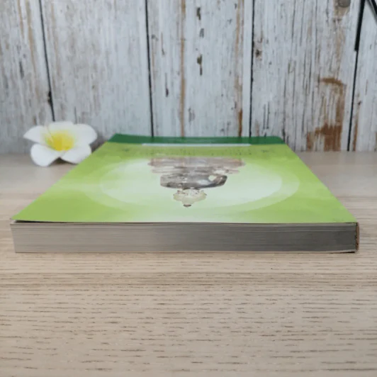 สมถวิปัสสนาภาวนาตามแนวสติปัฏฐาน 4 ถึงธรรมกายและพระนิพพานของพระพุทธเจ้า รูปที่ 6