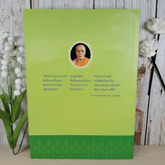 สมถวิปัสสนาภาวนาตามแนวสติปัฏฐาน 4 ถึงธรรมกายและพระนิพพานของพระพุทธเจ้า รูปที่ 2