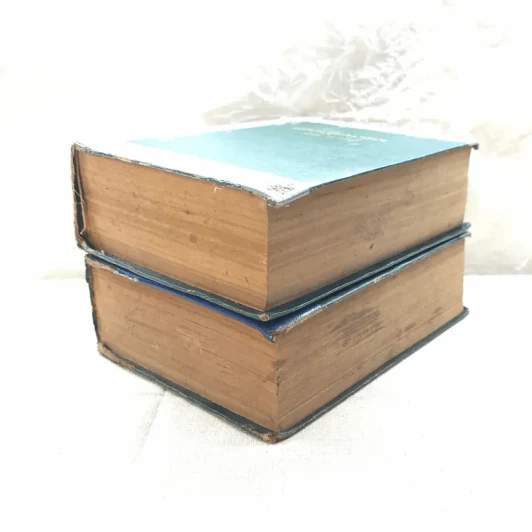 เศรษฐีอนาถา 2 เล่มจบ - สันต์ เทวรักษ์ รูปที่ 4