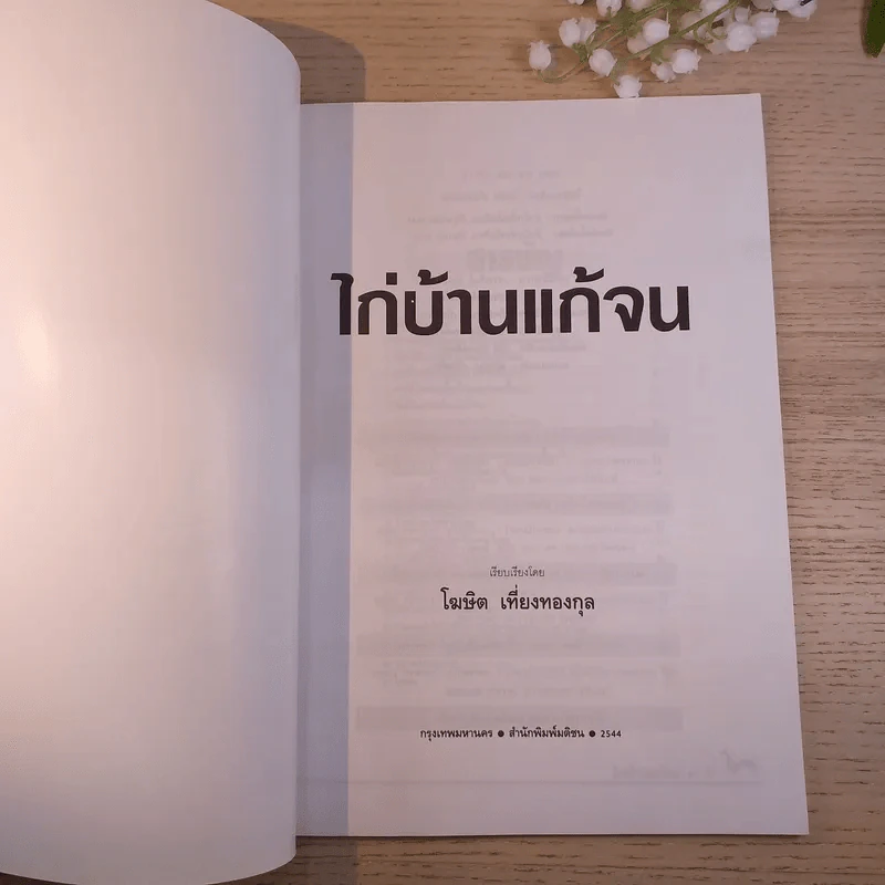 ไก่บ้านแก้จน - โฆษิต เที่ยงทองกุล รูปที่ 7