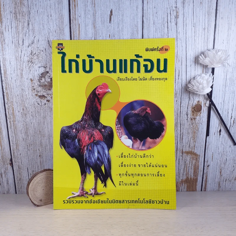 ไก่บ้านแก้จน - โฆษิต เที่ยงทองกุล รูปที่ 1