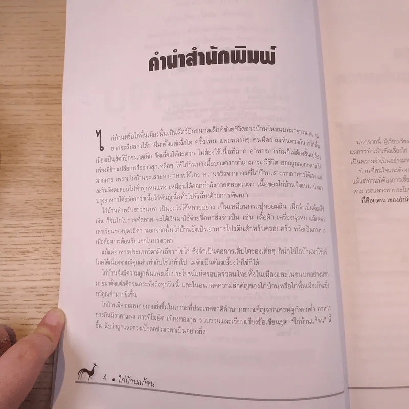ไก่บ้านแก้จน - โฆษิต เที่ยงทองกุล รูปที่ 9