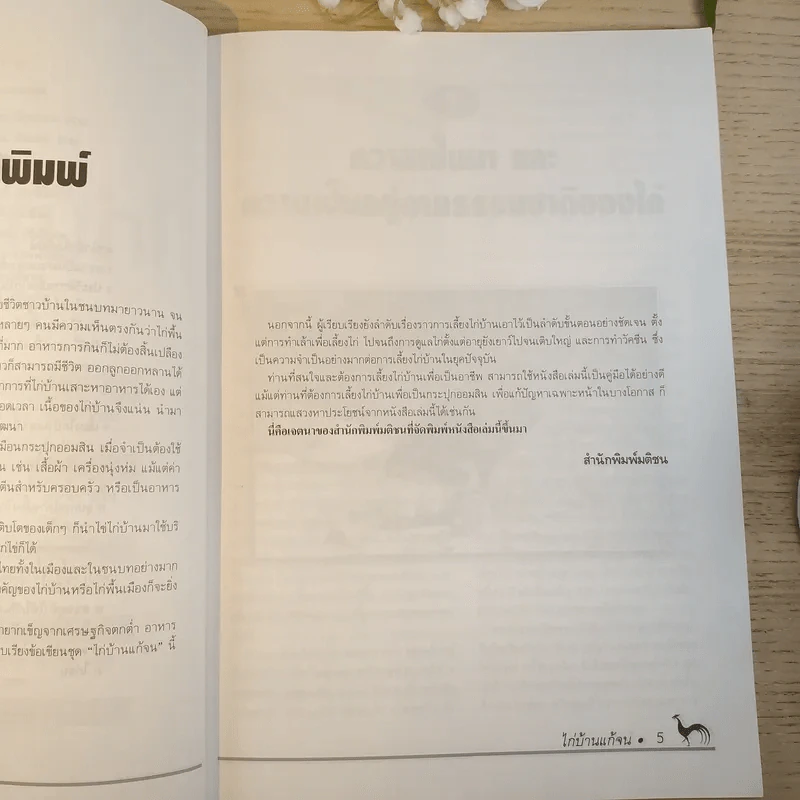 ไก่บ้านแก้จน - โฆษิต เที่ยงทองกุล รูปที่ 10