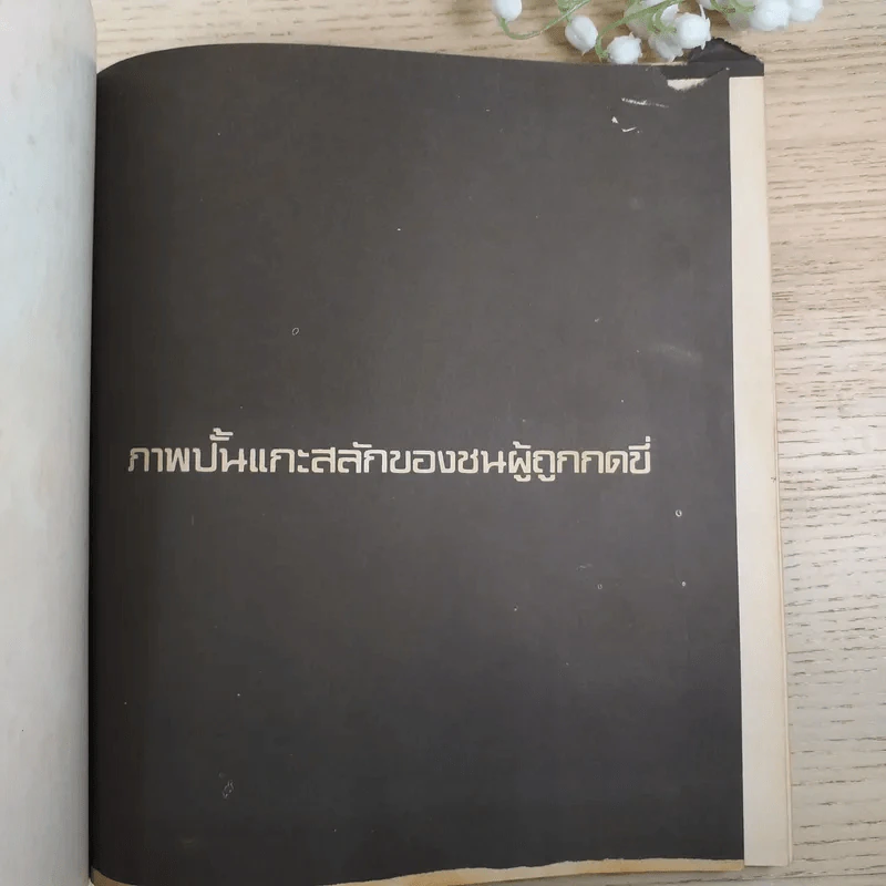 พืชพันธุ์แห่งการต่อสู้ ภาพปั้นแกะสลักของชนผู้ถูกกดขี่ - ธรรมรักษ์ สิรินิมิตรกุล เเละพี่น้องเเสงธรรม รูปที่ 3
