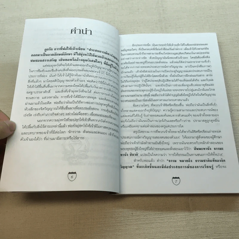 ประสบการณ์ทางวิญญาณแห่งศิษย์พุทธะ - คณะศิษย์หลวงปู่พุทธะอิสระ รูปที่ 6