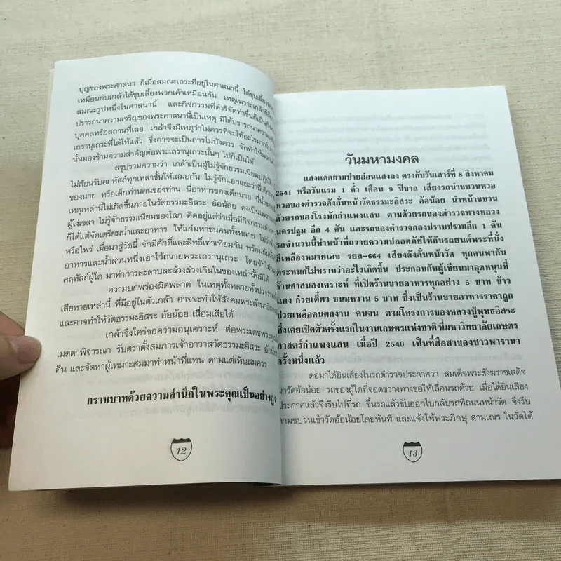 ประสบการณ์ทางวิญญาณแห่งศิษย์พุทธะ - คณะศิษย์หลวงปู่พุทธะอิสระ รูปที่ 9