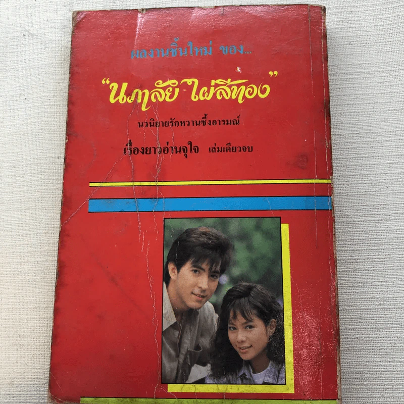 รวมนิยายของนภาลัย ไผ่สีทอง 6 เล่ม รูปที่ 35