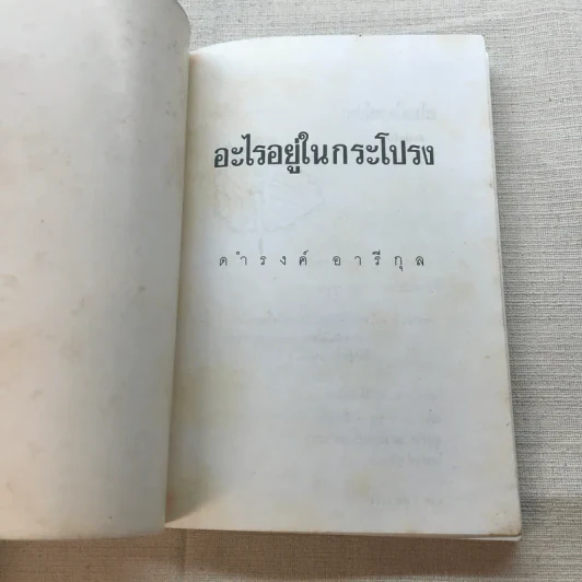 อะไรอยู่ในกระโปรง - ดำรงค์ อารีกุล รูปที่ 4