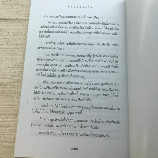ตายแล้วเกิด - นที ลานโพธิ์ รูปที่ 8