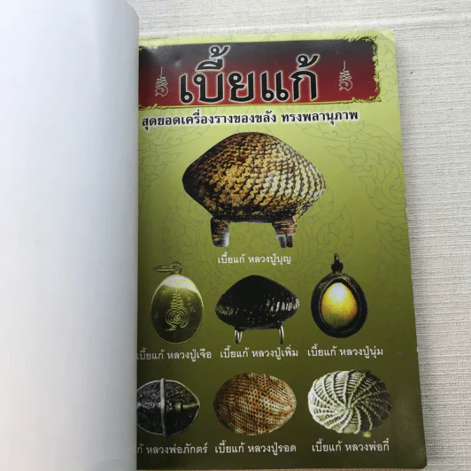 เบี้ยแก้ สุดยอดเครื่องรางของขลัง ทรงพลานุภาพ - โสฬส วัชญา รูปที่ 4