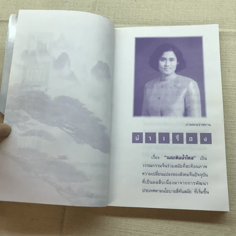 เมฆเหิน น้ำไหล - สมเด็จพระเทพรัตนราชสุดาฯ รูปที่ 5