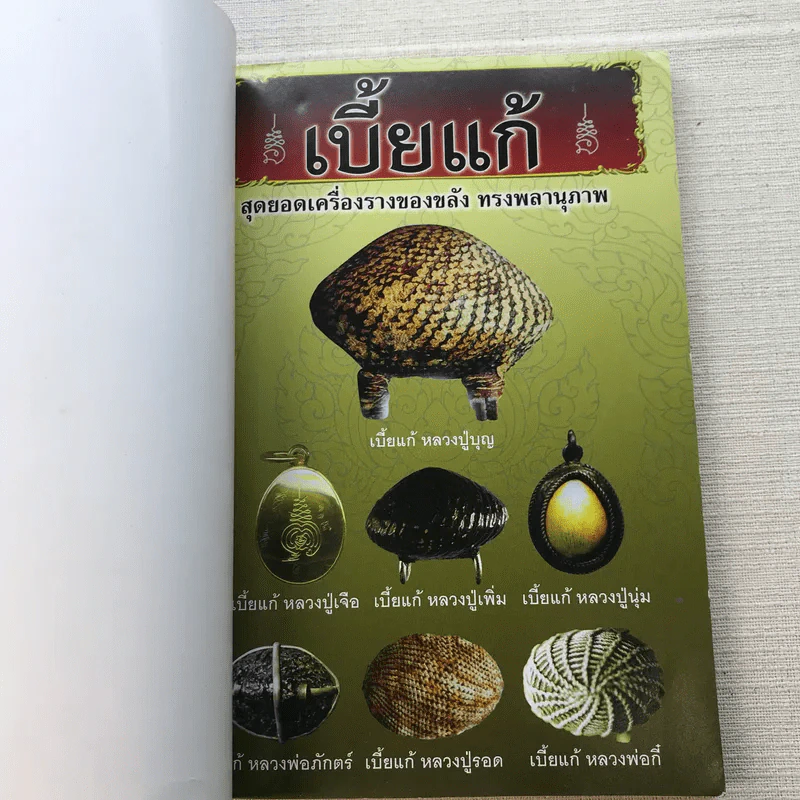 เบี้ยแก้ สุดยอดเครื่องรางของขลัง ทรงพลานุภาพ - โสฬส วัชญา รูปที่ 4