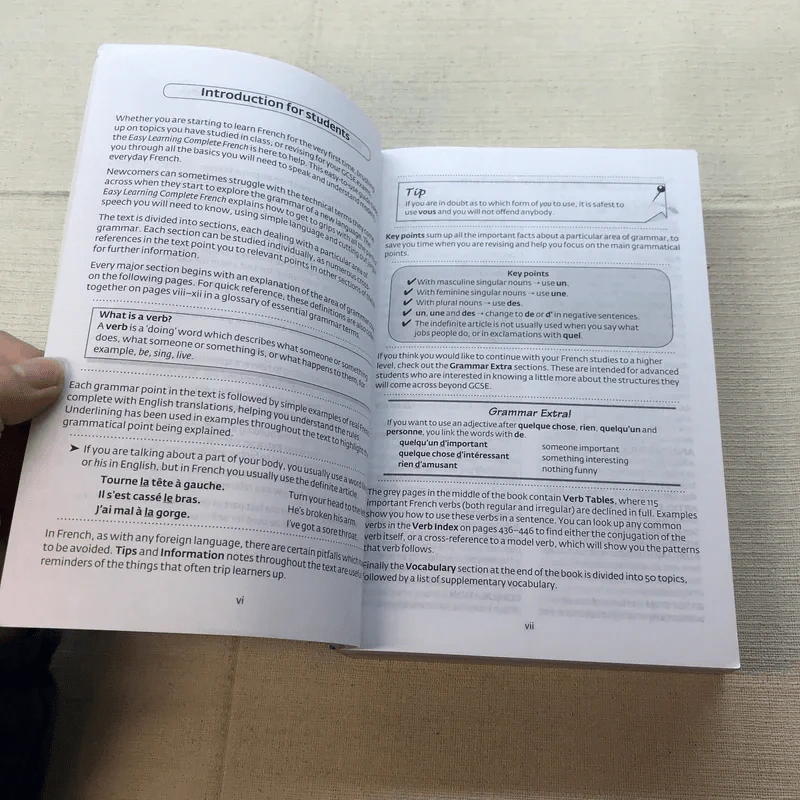 Complete French Grammar+Verbs+Vocabulary รูปที่ 7