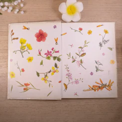 สมุดบันทึกวันเวลาของดอกไม้ - ขวัญใจ เอมใจ รูปที่ 6
