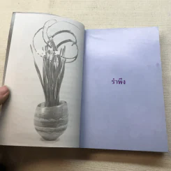 คนแก่อยู่กับความหลัง - คุณหญิงชนัตถ์ ปิยะอุย 2535 รูปที่ 6