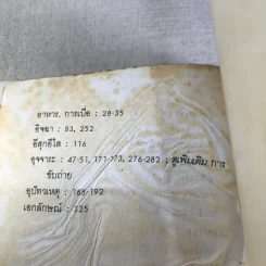 เด็กวอนสอนผู้ใหญ่ - ทิพาวดี เอมะวรรธนะ รูปที่ 15