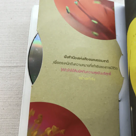ฮัมเพลงบรรเลงธรรมชาติ - โสรีช์ โพธิแก้ว รูปที่ 12