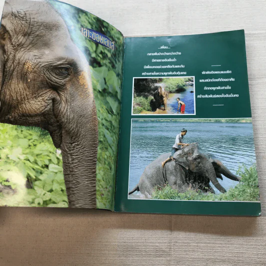 Study ฉบับ กล้อง No.6 Photo&Travel รูปที่ 5