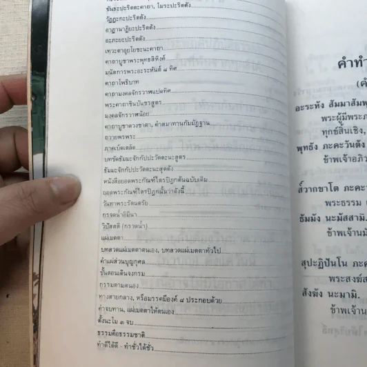พุทธบูชาทรงบำเพ็ญทุกกรกริยา (บทสวดมนต์) รูปที่ 10