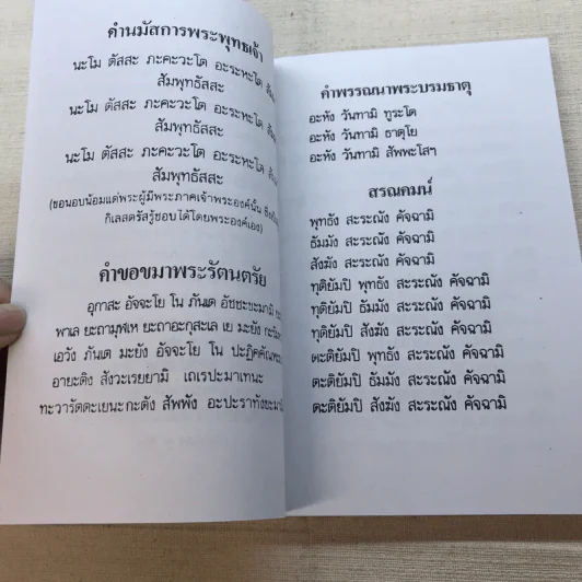 เคล็ดวิธี แก้กรรม-ปัญหาชีวิต กินอย่างไร-ไร้โรคภัย รูปที่ 9