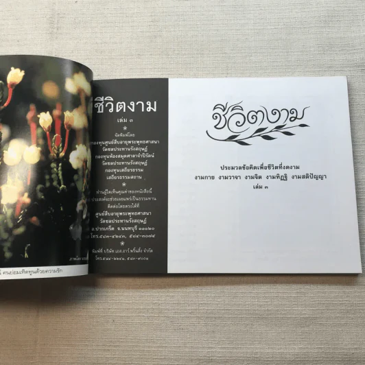 ชีวิตงาม เล่ม 3 - อนุสรณ์งานพระราชทานเพลิงศพ อาจารย์ประไพ เสงี่ยมลักษณ์ รูปที่ 14