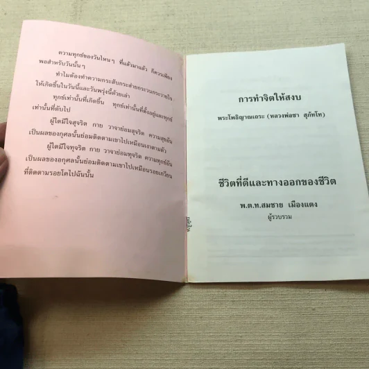 การทำจิตให้สงบ พระโพธิญาณเถระ (หลวงพ่อชา สุภัทโท), ชีวิตที่ดีและทางออกของชีวิต พ.ต.ท.สมชาย เมืองแตง รูปที่ 4