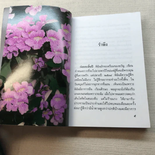คนแก่อยู่กับความหลัง - คุณหญิงชนัตถ์ ปิยะอุย 2535 รูปที่ 7