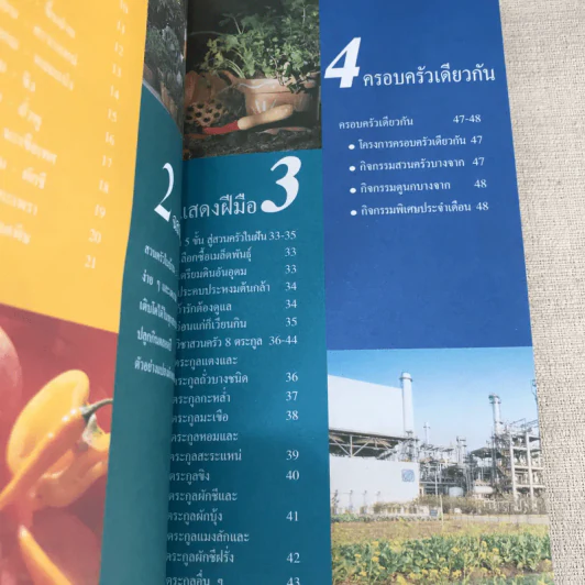 ฉลาดกิน ฉลาดปลูก สวนครัวสุขภาพ รูปที่ 6