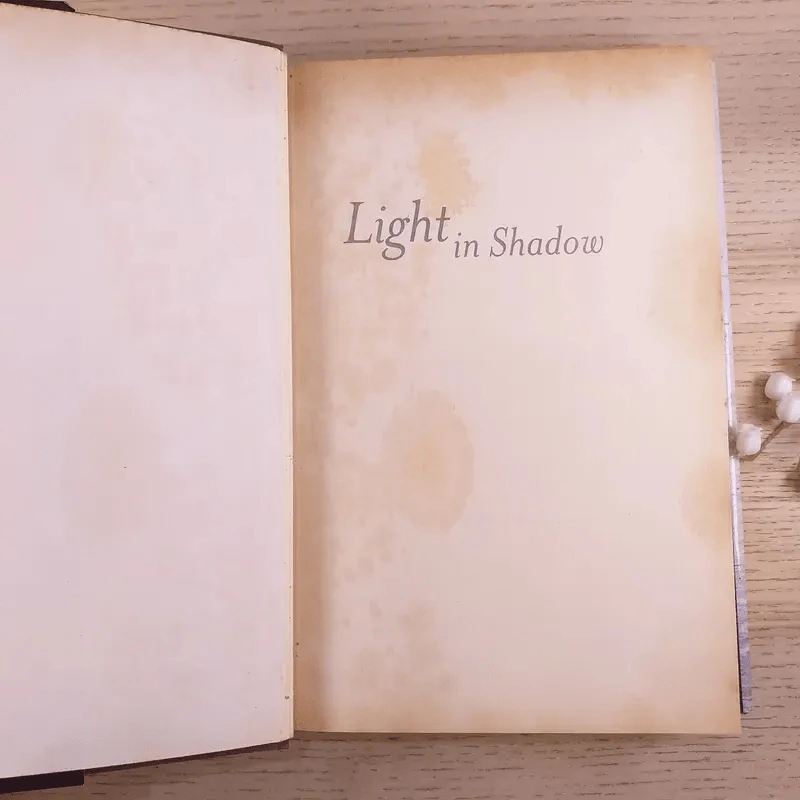 Light in Shadow - Jayne Ann Krentz รูปที่ 7
