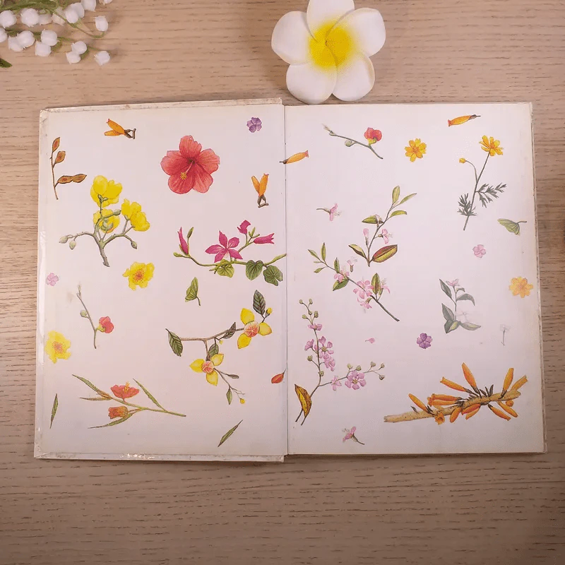 สมุดบันทึกวันเวลาของดอกไม้ - ขวัญใจ เอมใจ รูปที่ 6