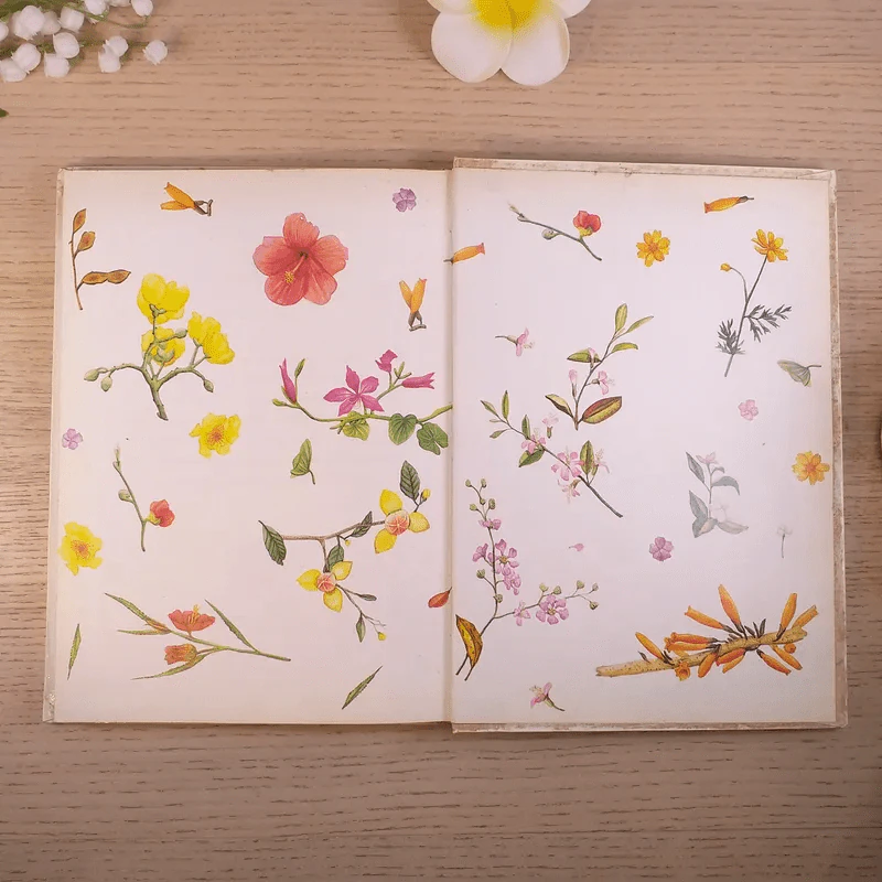 สมุดบันทึกวันเวลาของดอกไม้ - ขวัญใจ เอมใจ รูปที่ 11