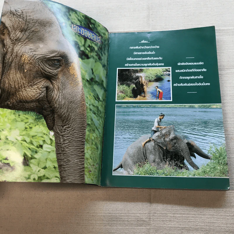 Study ฉบับ กล้อง No.6 Photo&Travel รูปที่ 5