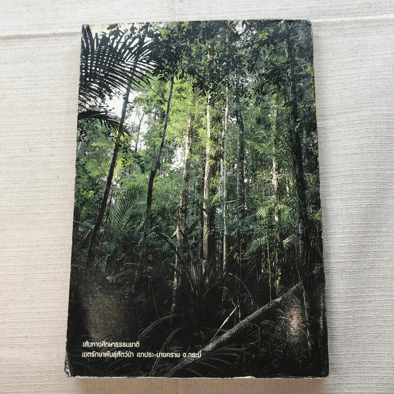 Study ฉบับ กล้อง No.6 Photo&Travel รูปที่ 9