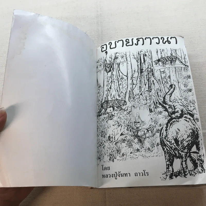 อุบายภาวนา - หลวงปู่จันทา ถาวโร รูปที่ 5