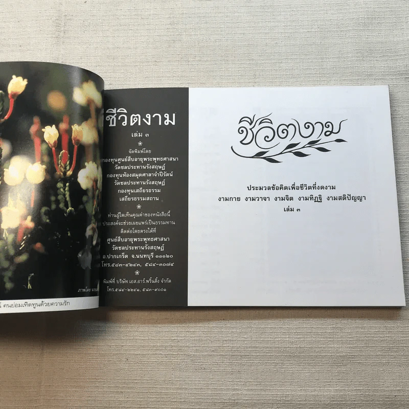 ชีวิตงาม เล่ม 3 - อนุสรณ์งานพระราชทานเพลิงศพ อาจารย์ประไพ เสงี่ยมลักษณ์ รูปที่ 14