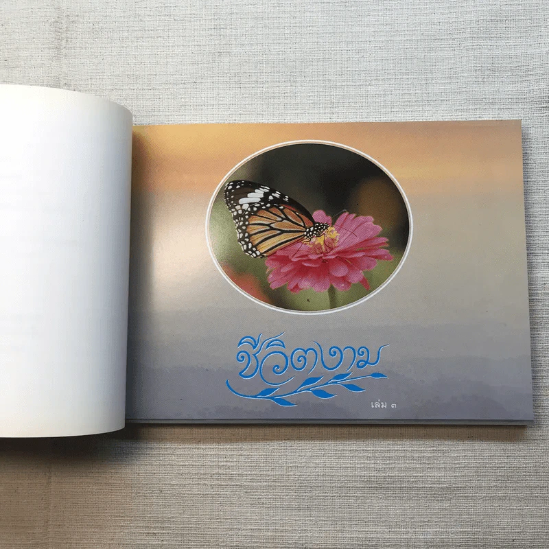 ชีวิตงาม เล่ม 3 - อนุสรณ์งานพระราชทานเพลิงศพ อาจารย์ประไพ เสงี่ยมลักษณ์ รูปที่ 13