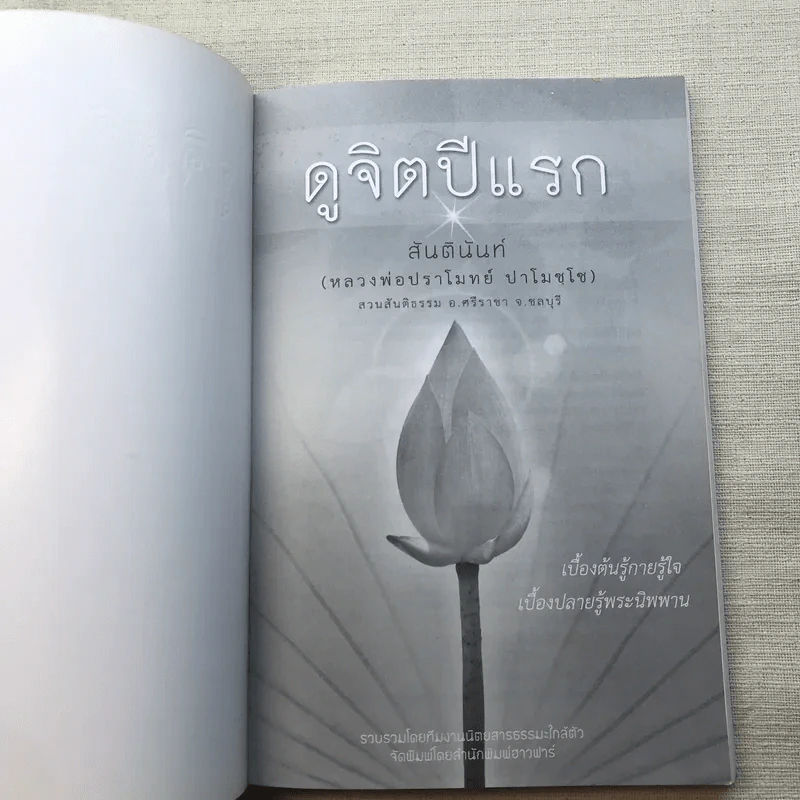 ดูจิตปีแรก - สันตินันท์ (หลวงพ่อปราโมทย์ ปาโมชโช) รูปที่ 4