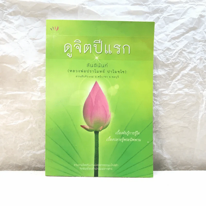 ดูจิตปีแรก - สันตินันท์ (หลวงพ่อปราโมทย์ ปาโมชโช) รูปที่ 1