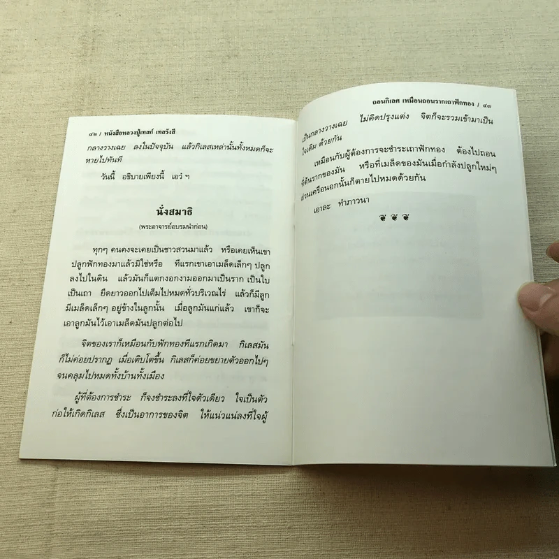 เทสรังสีบูชา 36 เนื่องในวาระบำเพ็ญกุศล ครบรอบวันมรณภาพปีที่ 9 คณะศิษยานุศิษย์ รูปที่ 9