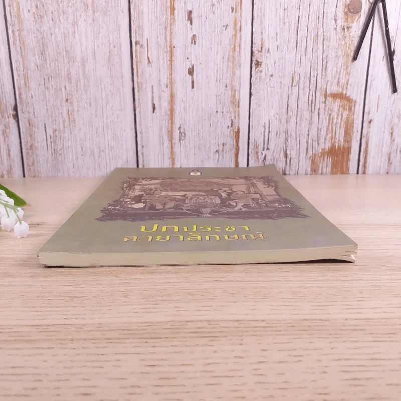 ปกประชาฉายาลักษณ์ - สถาบันพระปกเกล้า รูปที่ 4