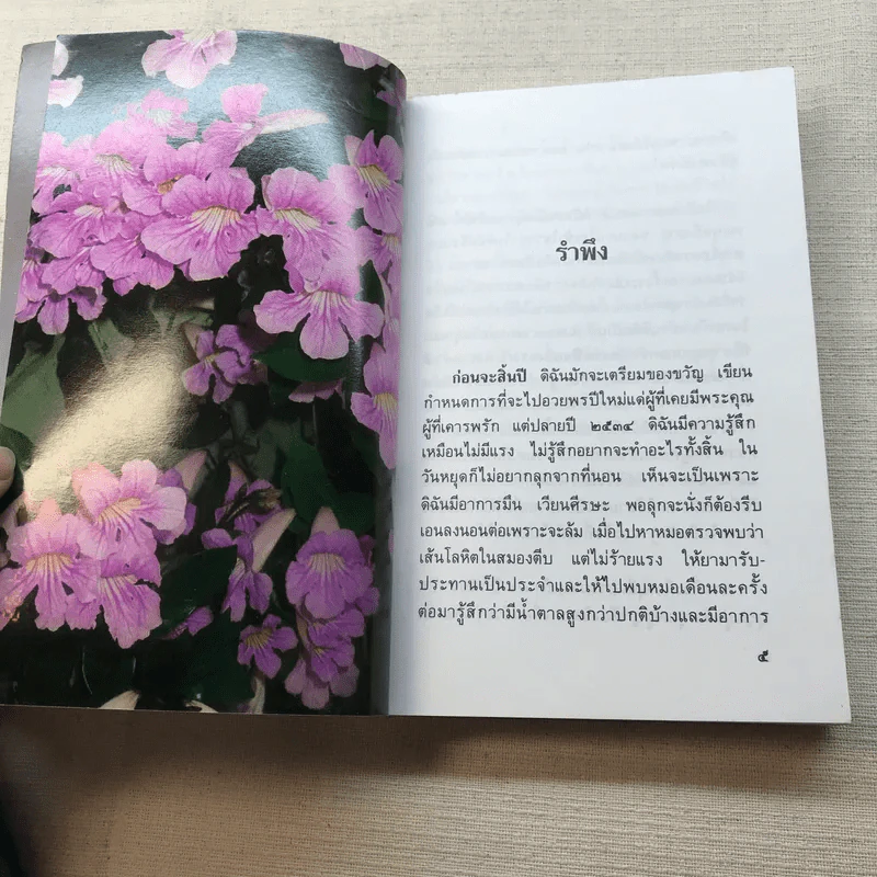 คนแก่อยู่กับความหลัง - คุณหญิงชนัตถ์ ปิยะอุย 2535 รูปที่ 7