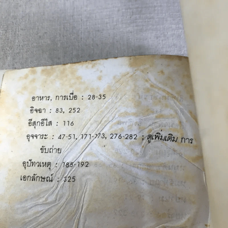 เด็กวอนสอนผู้ใหญ่ - ทิพาวดี เอมะวรรธนะ รูปที่ 15