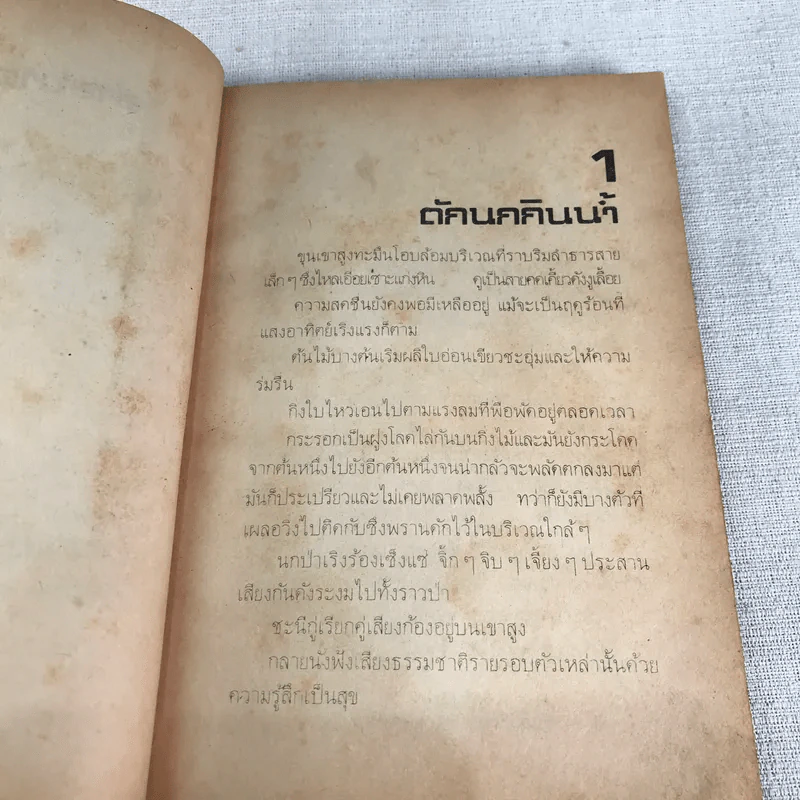 ชีวิตบ้านป่า - ประสิทธิ์ มุสิกเกษม รูปที่ 8